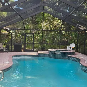 The Jungle , Tampa United States